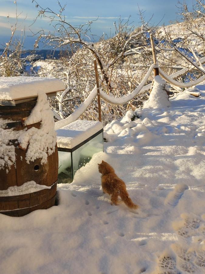 Cortijo Saucillo Lägenhet Albondon Exteriör bild